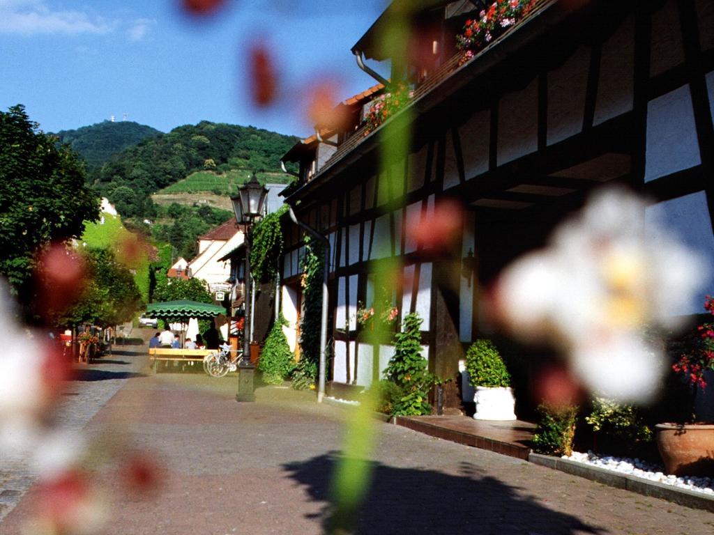 Hotel Garni Zur Bergstrasse Zwingenberg (Hessen) Exterior foto